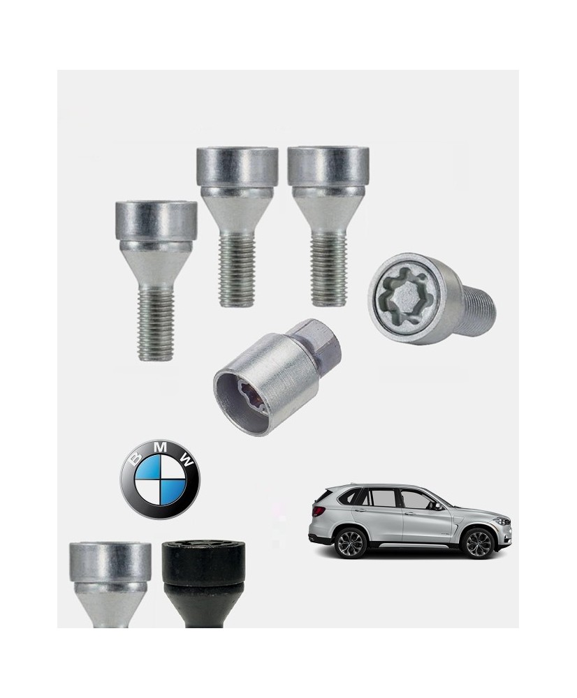 Ecrous antivol de roues haute sécurité Bmw X5 3 (F15)