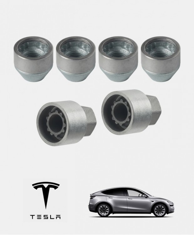 Antivols de roue Tesla Model Y