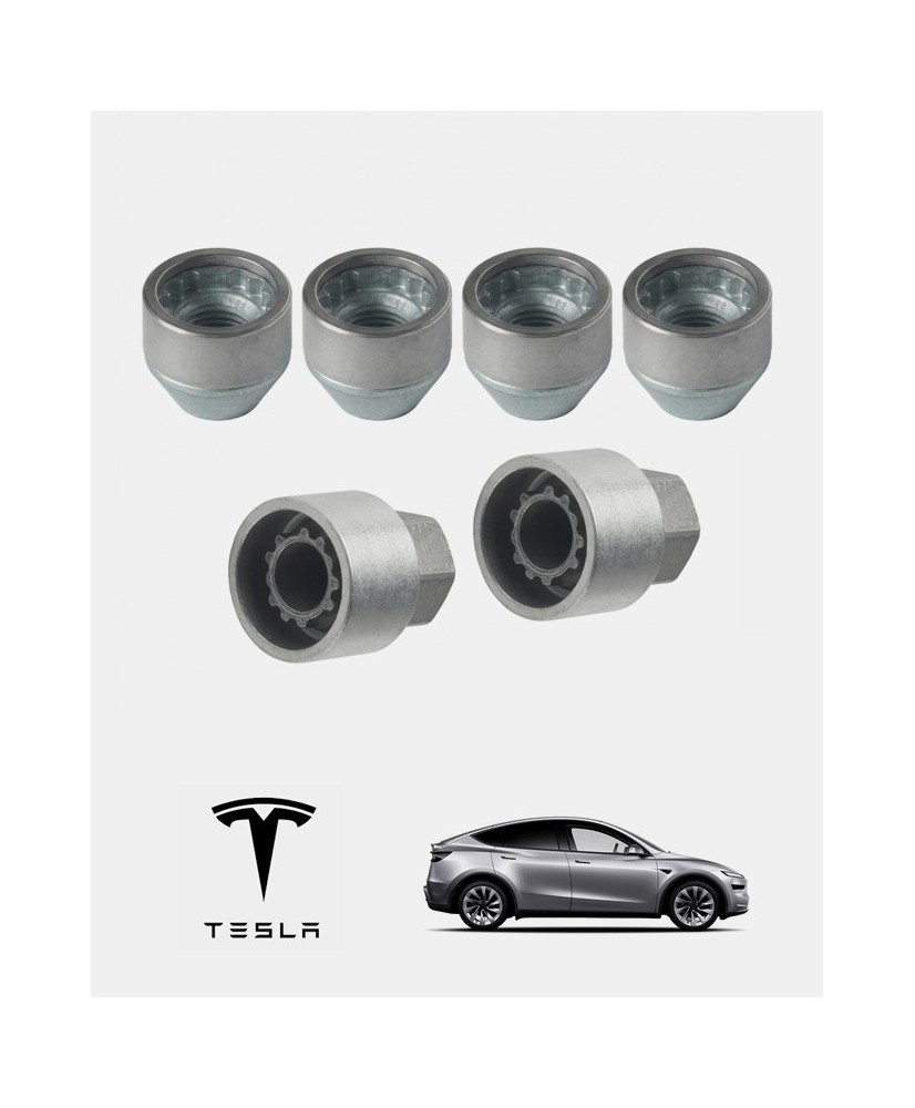 Antivols de roue Tesla Model Y
