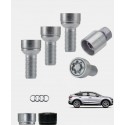 Ecrous antivol de roues haute sécurité Audi Q4 E-Tron