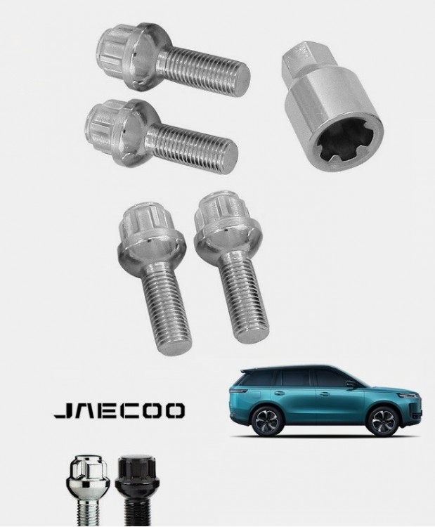 Ecrous antivol de roues Jaecoo 7