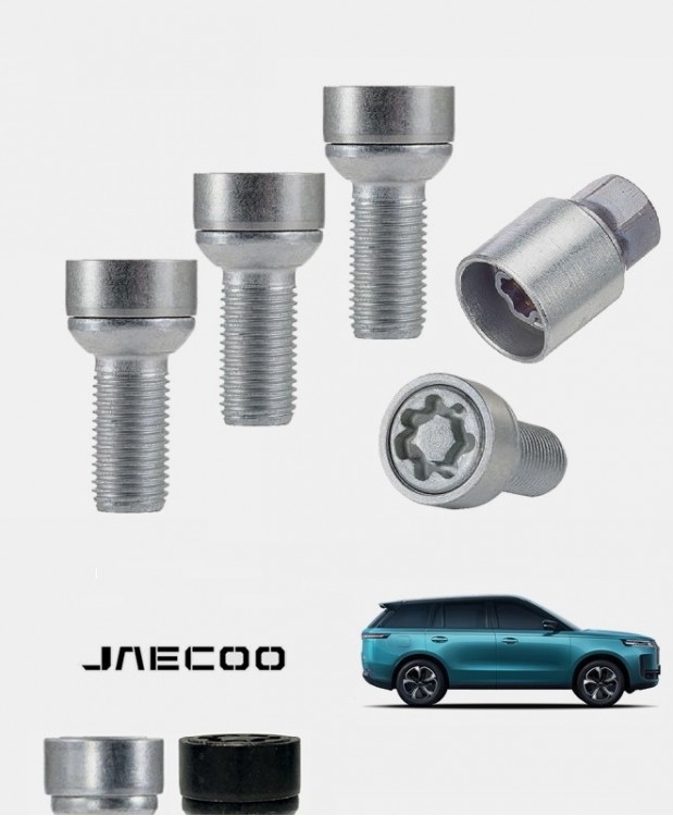 Antivols de roues Jaecoo 5
