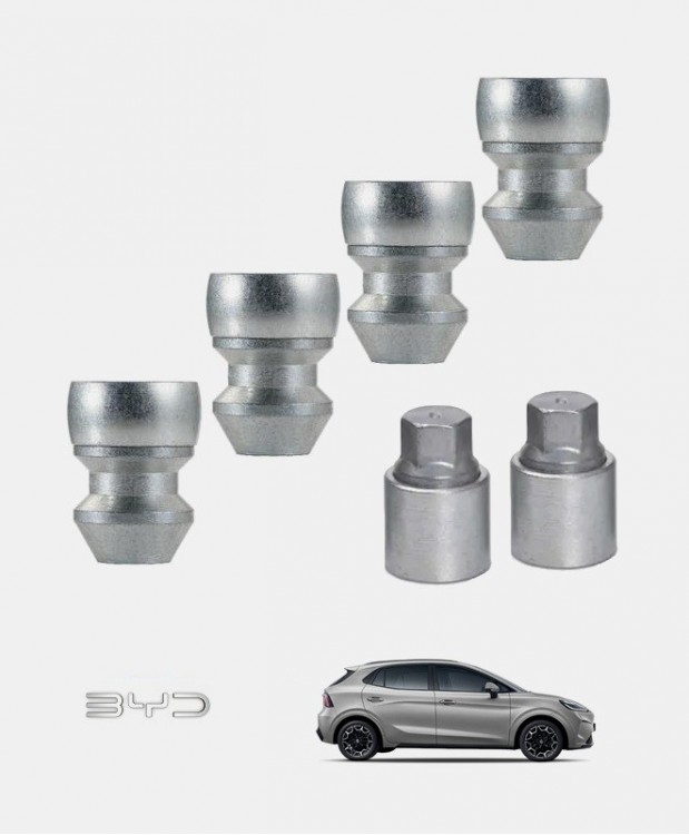 Antivols de roues BYD DOLPHIN G
