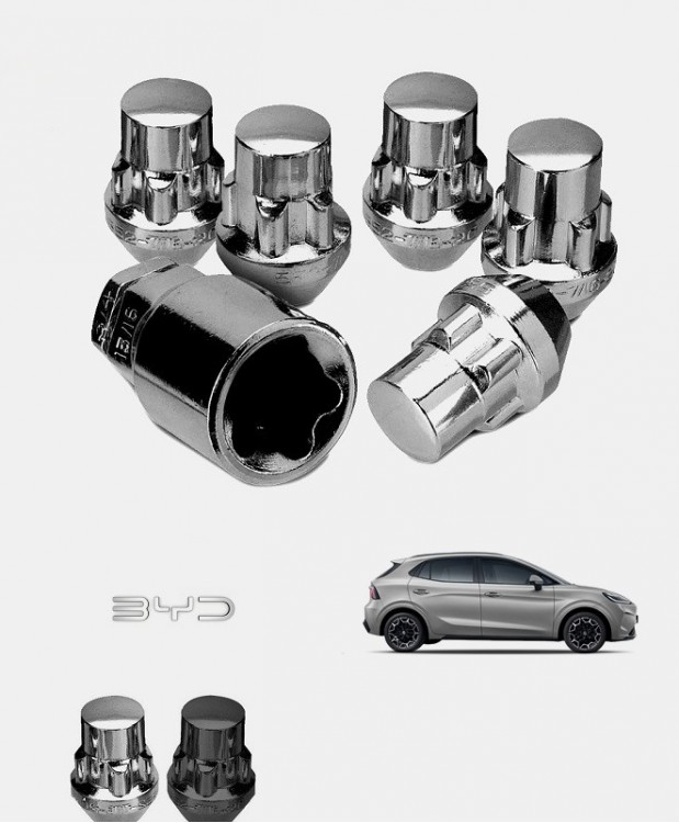 Ecrous antivol de roues BYD Dolphin G DM-i