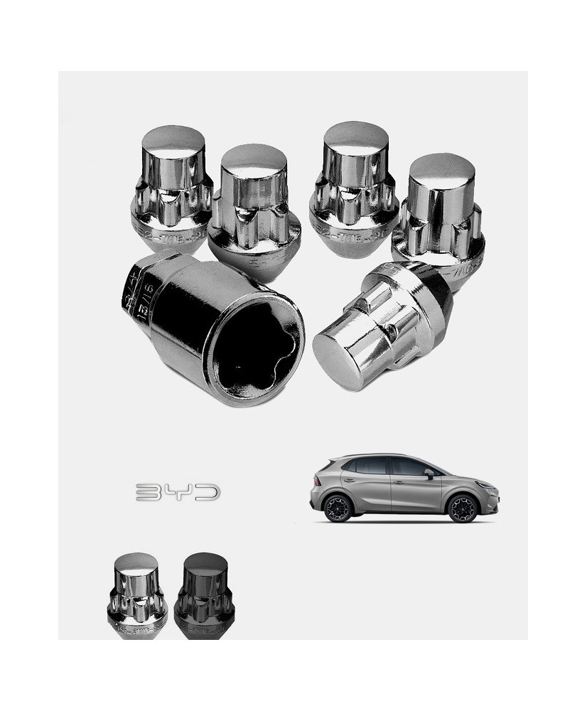 Ecrous antivol de roues BYD Dolphin G DM-i
