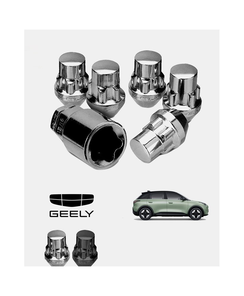 Ecrous antivol de jantes GEELY E2 (E22H)
