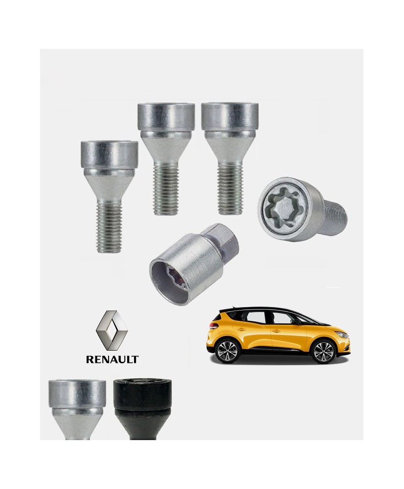 Antivols de roues Renault Scenic 4