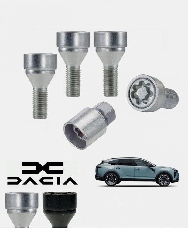 Antivols de roues Dacia STRIKER