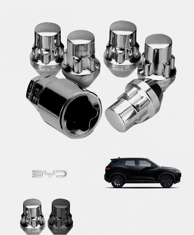 Ecrous antivol de jantes BYD Atto 2-DMi