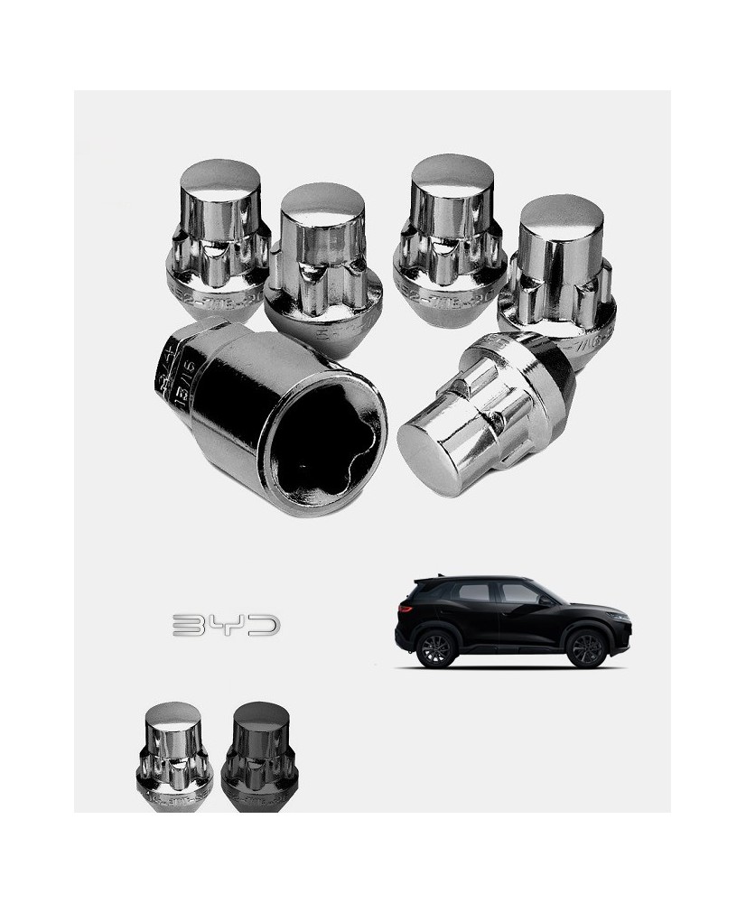 Ecrous antivol de jantes BYD Atto 2-DMi