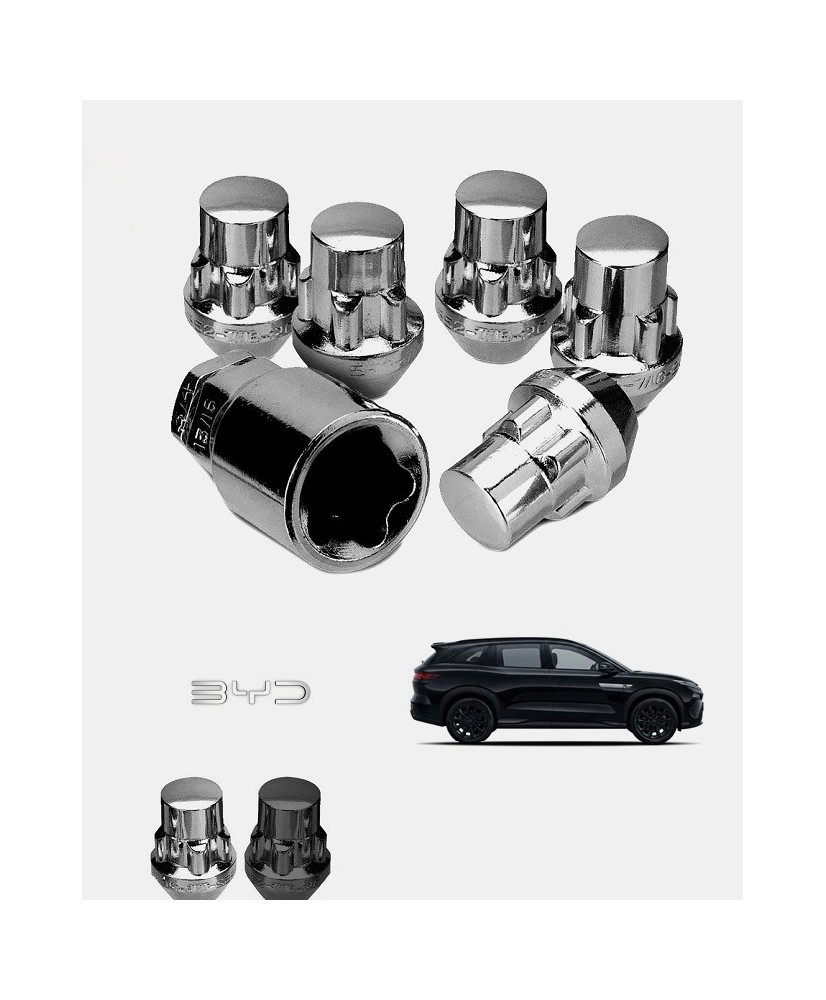 Ecrous antivol de jantes BYD Atto 8