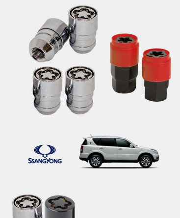 Ecrous antivol de roues SsangYong Rexton 3 (Y300)