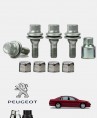 Ecrous antivol de roues Peugeot 607