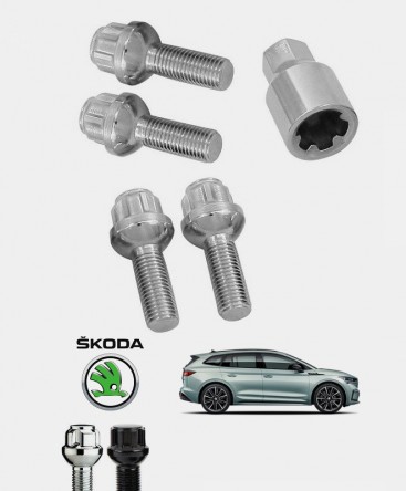 Ecrous antivol de roues Skoda Enyaq iV