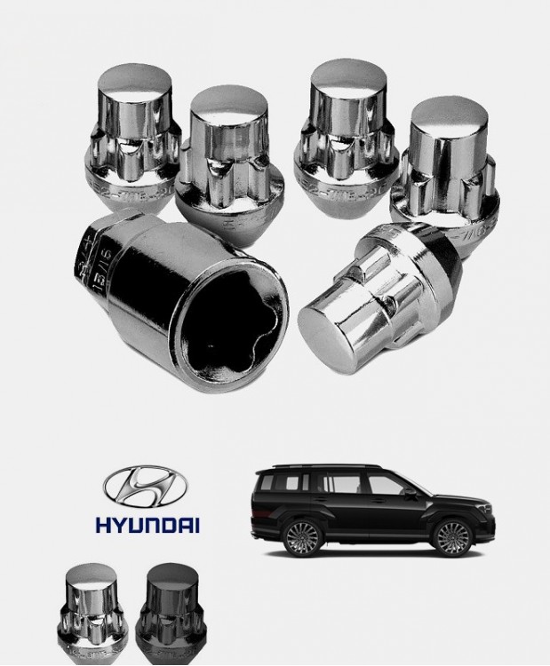 Ecrous antivol de roues Hyundai Santa Fe 5 (MX5)
