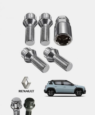 Ecrous antivol de roues Renault 4 E-Tech Electric