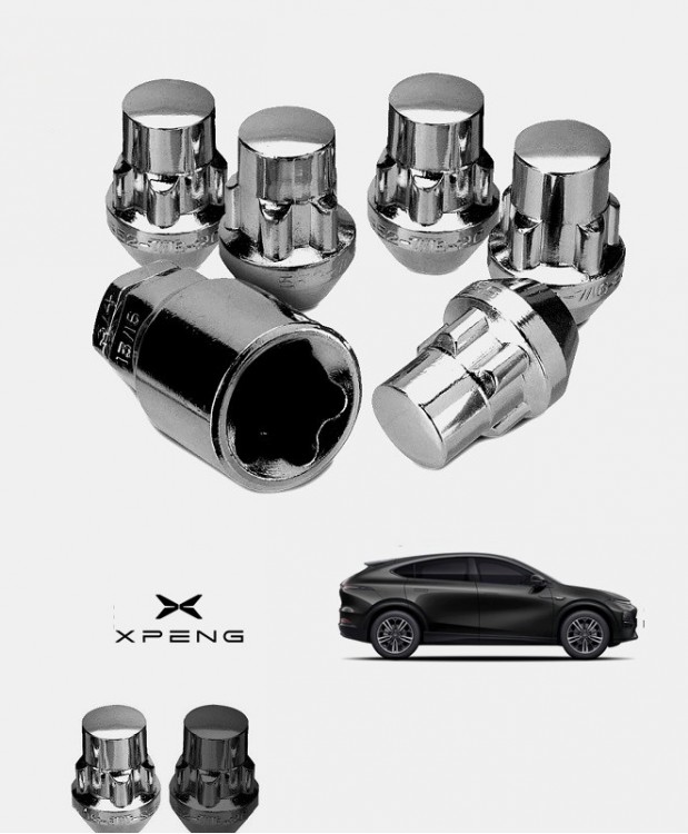 Ecrous antivol de roues XPENG G6
