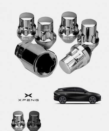 Ecrous antivol de roues XPENG G6