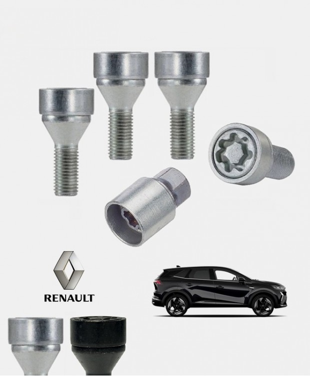 Ecrous antivol de roues haute sécurité Renault Symbioz