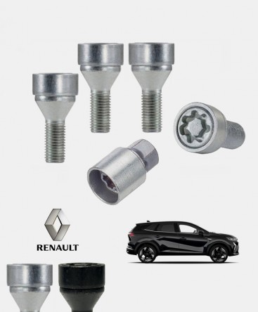 Ecrous antivol de roues haute sécurité Renault Symbioz