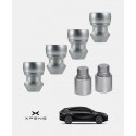 Antivols de roues XPENG G6