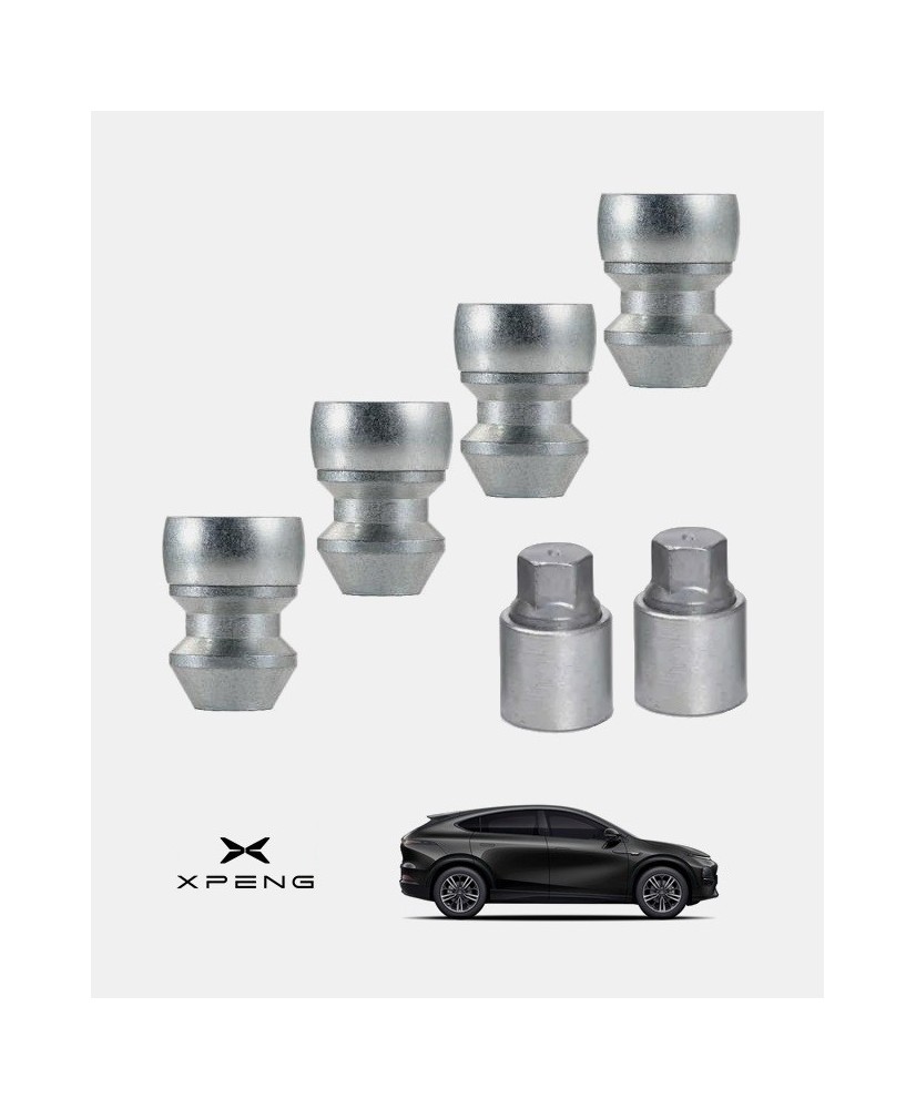 Antivols de roues XPENG G6
