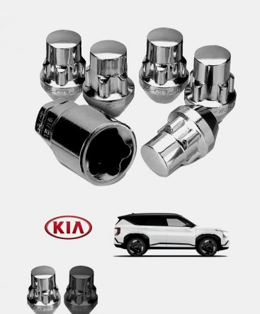 Ecrous antivol de roues Kia EV5