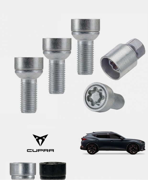 Antivols de roues Cupra FORMENTOR