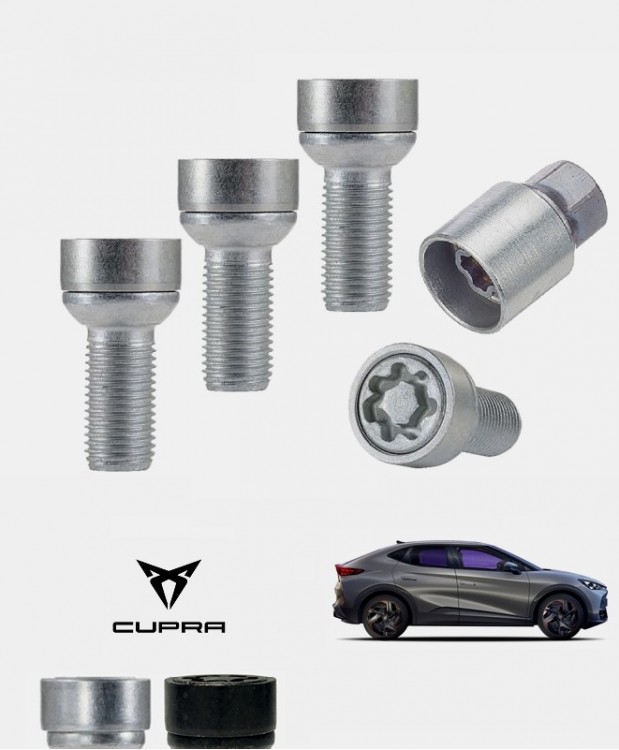 Antivols de roues Cupra TAVASCAN