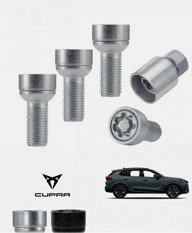 Ecrous antivol de roues haute sécurité Cupra Terramar