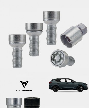Ecrous antivol de roues haute sécurité Cupra Terramar