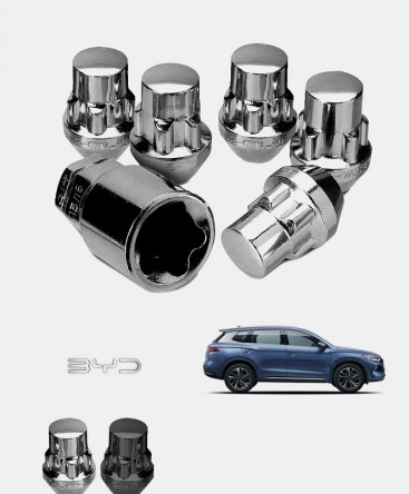 Ecrous antivol de roues BYD Sealion 5 DM-i