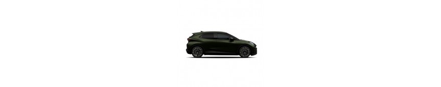 Cupra Raval Cupra Raval