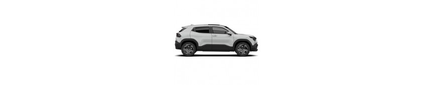 Suzuki eVitara
