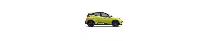 BYD Dolphin Surf