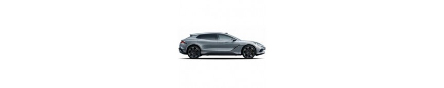 Denza Z9GT Denza Z9GT