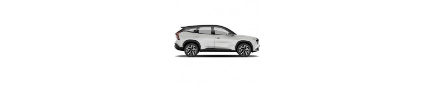 Geely Starray EM-i Super Hybrid Geely Starray EM-i Super Hybrid