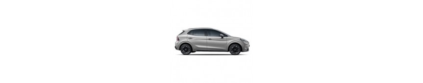 BYD Dolphin G DM-i