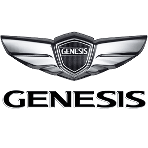 Ecrous antivol de roues Genesis